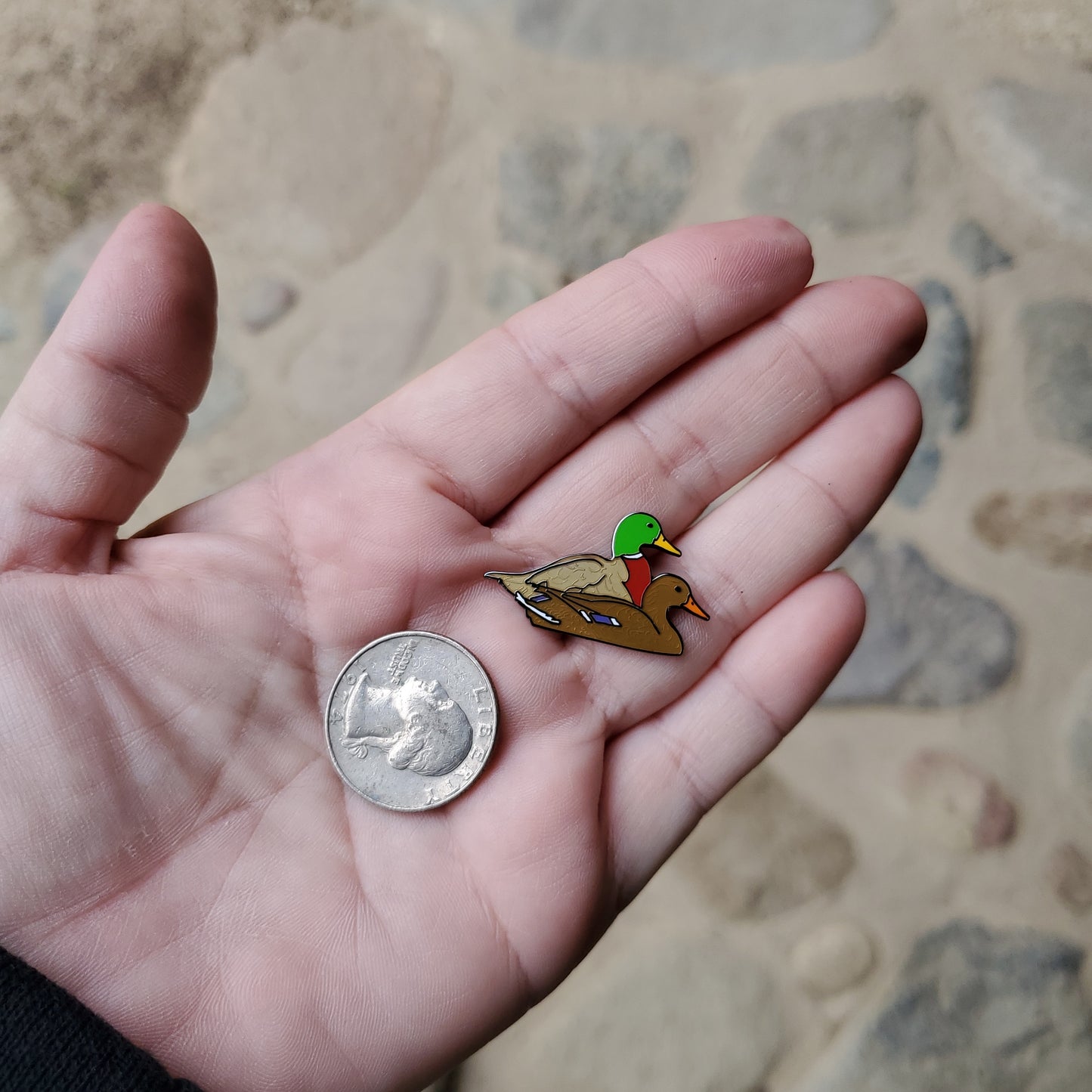 Mallards Pin