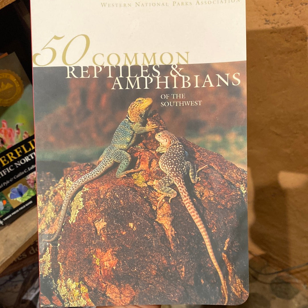 50 Common Reptiles & Amphibians Of The Southwest by W. Nat'l Park Association