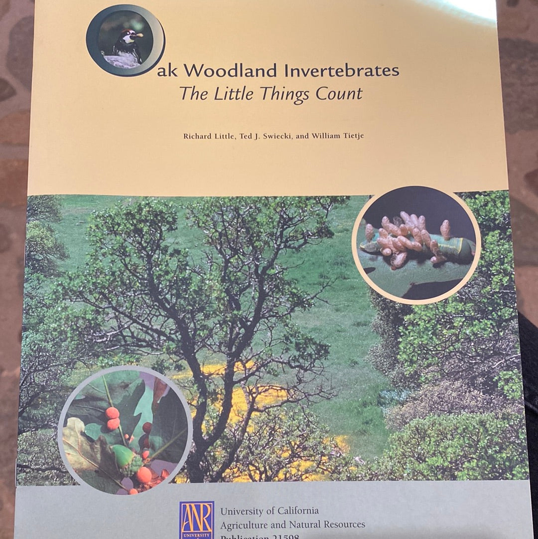 Oak Woodland Invertebrates: The Little Things Count