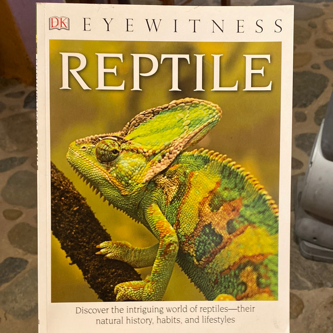Reptile (Eye Witness) by Colin McCaCarthy