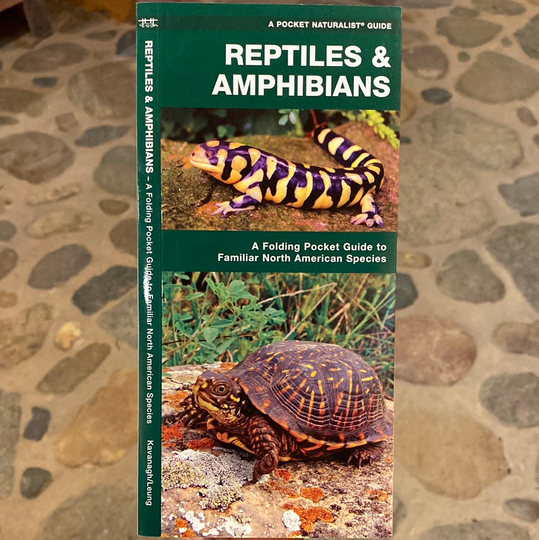 Reptiles & Amphibians, A Folding Pocket Guide to Familiar North American Species by Kavanagh/Leung