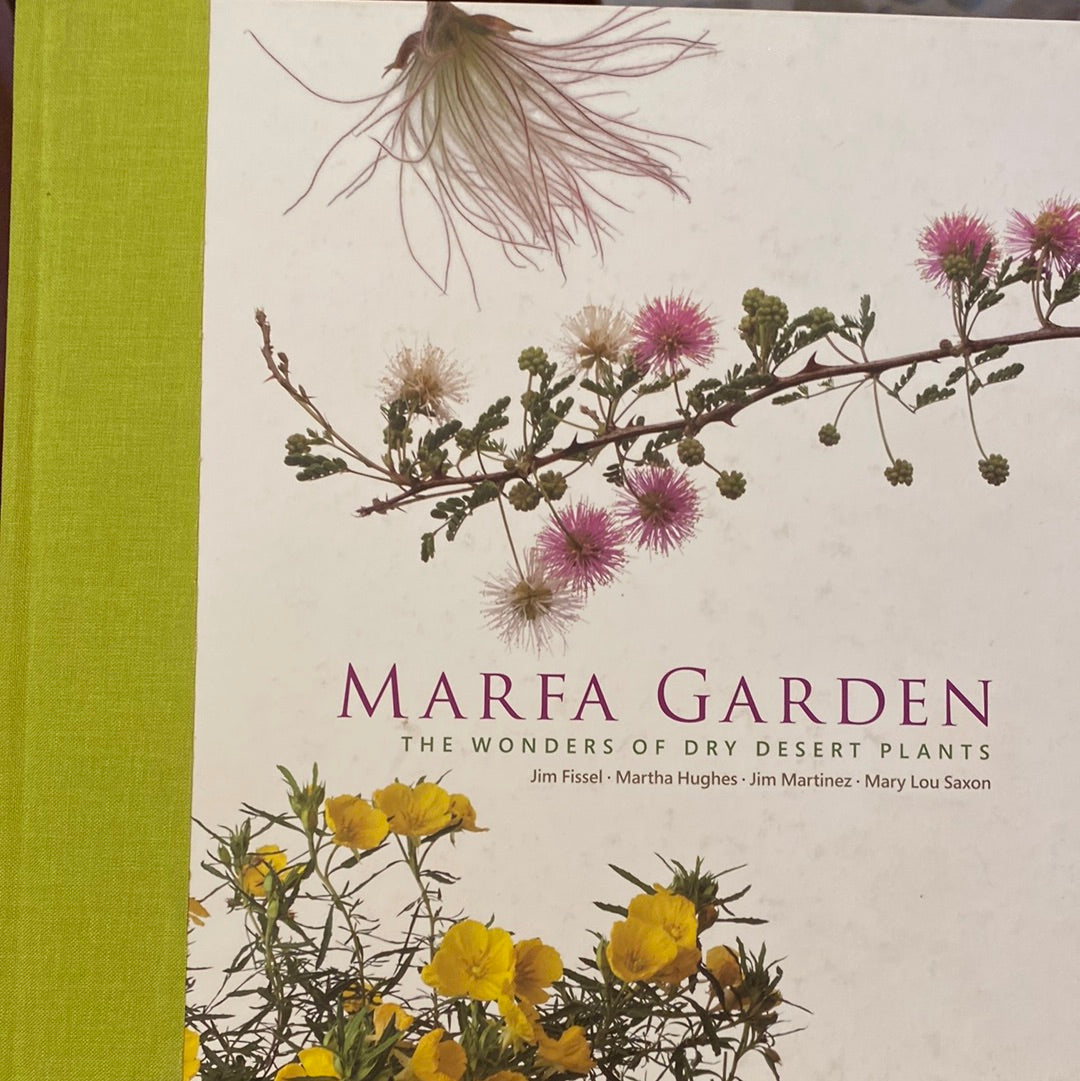 Marfa Garden, The Wonders of Dry Desert Plants