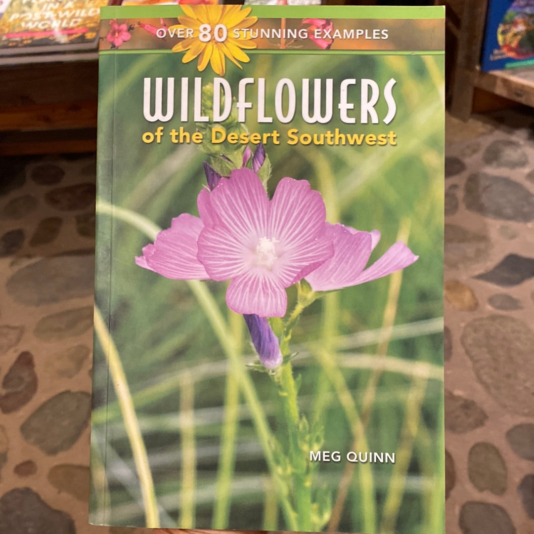 Wildflowers of the Desert Southwest by Meg Quinn