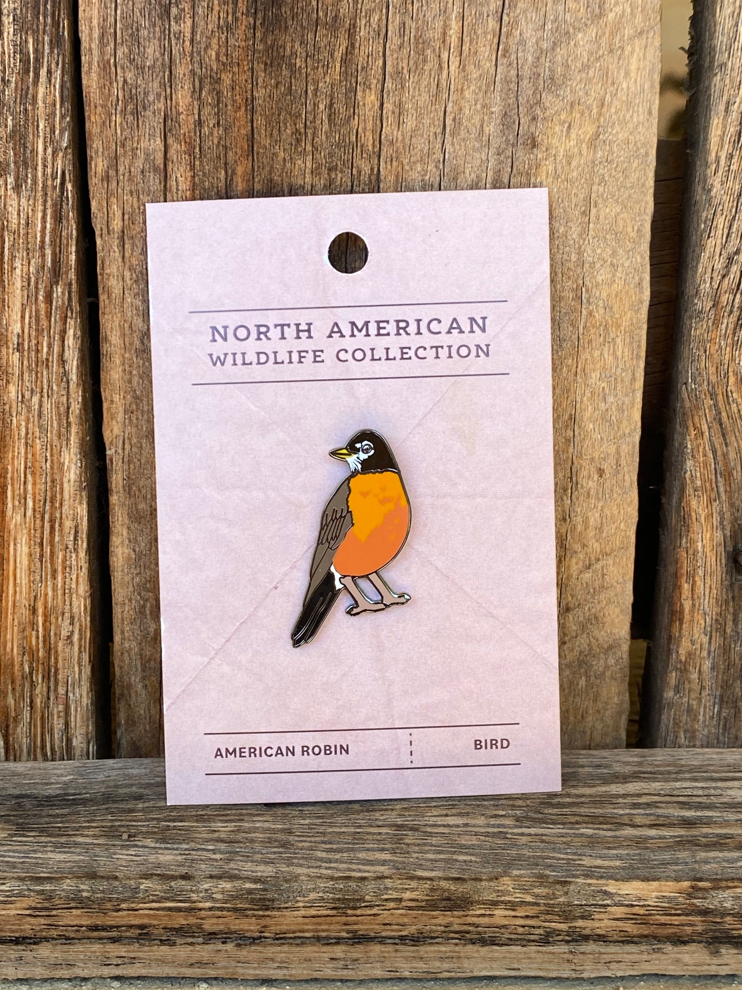 American Robin Pin