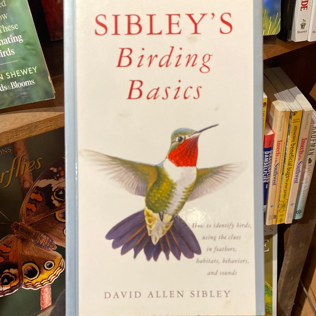 Sibley's Birding Basics by David Allen Sibley