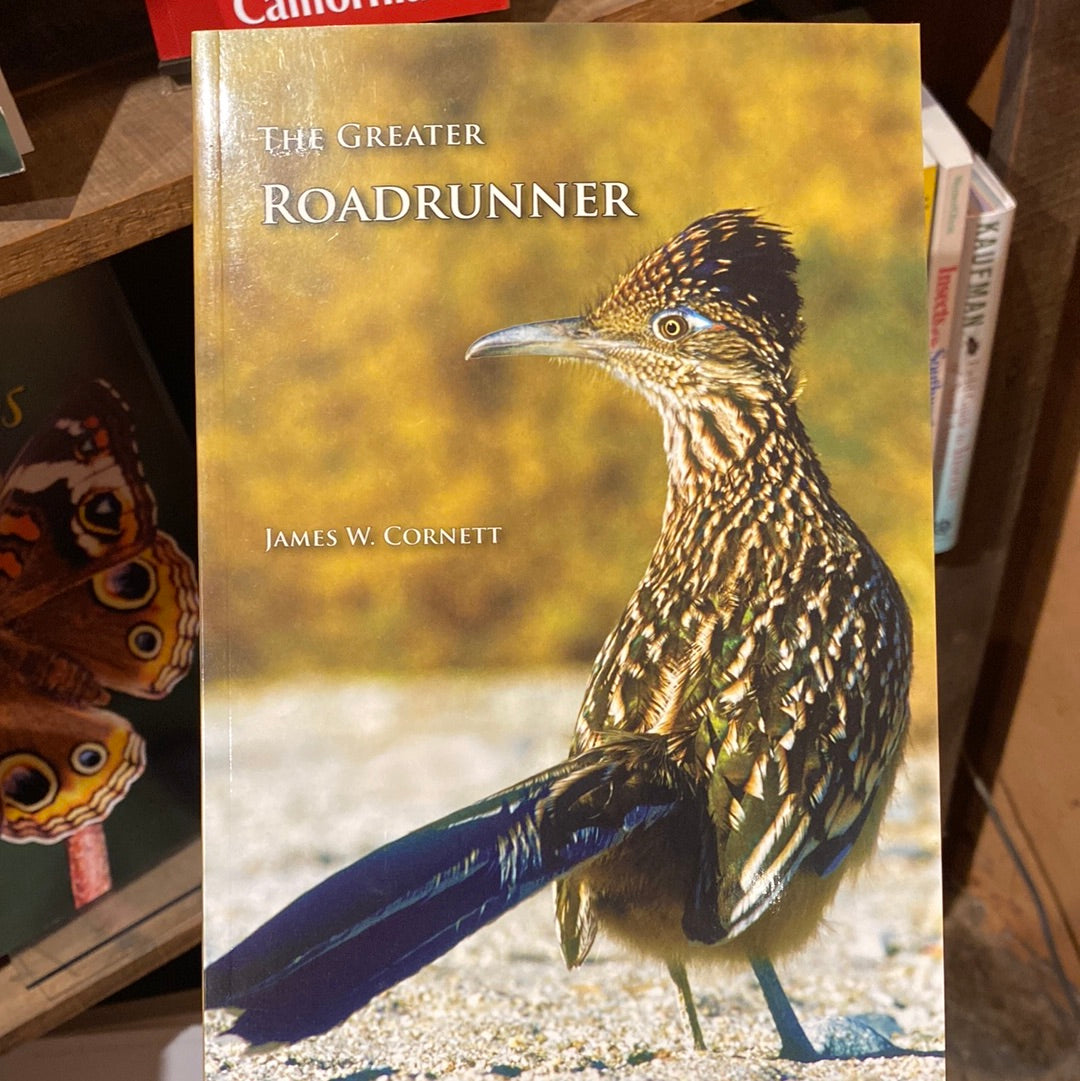 The Greater Roadrunner