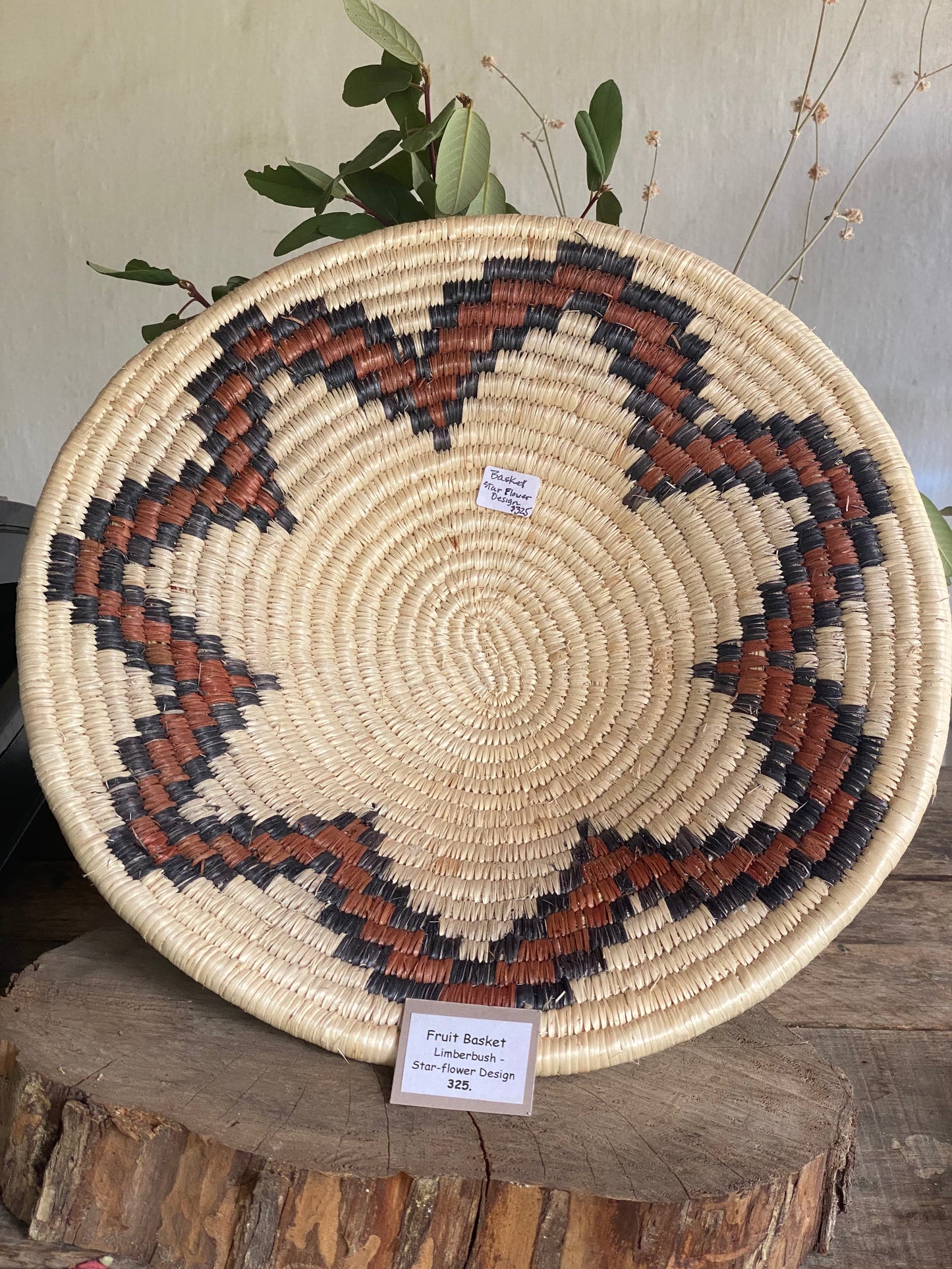 Seri Fruit Basket Limberbush - Starflower Design
