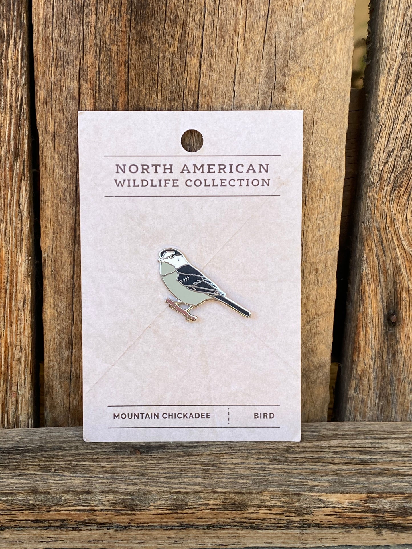 Mountain Chickadee Pin