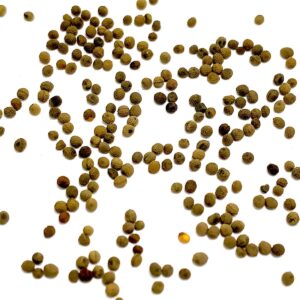 Wildflower Seeds - California Poppy