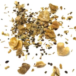 Wildflower Seeds - Desert Mix