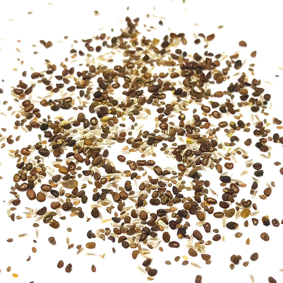 Wildflower Seeds - Shade Mix