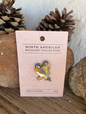 American Kestrels Pin