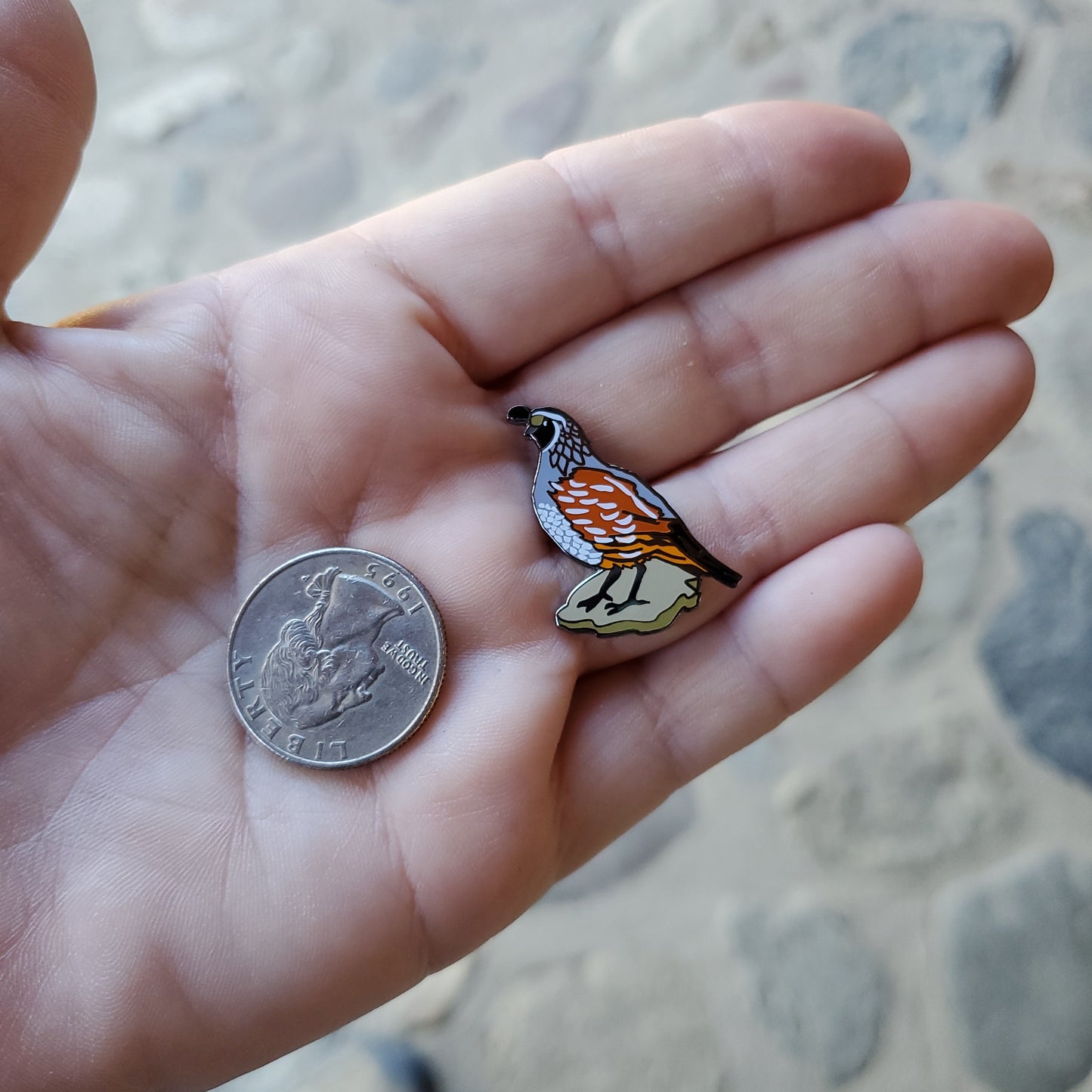 California Quail Pin