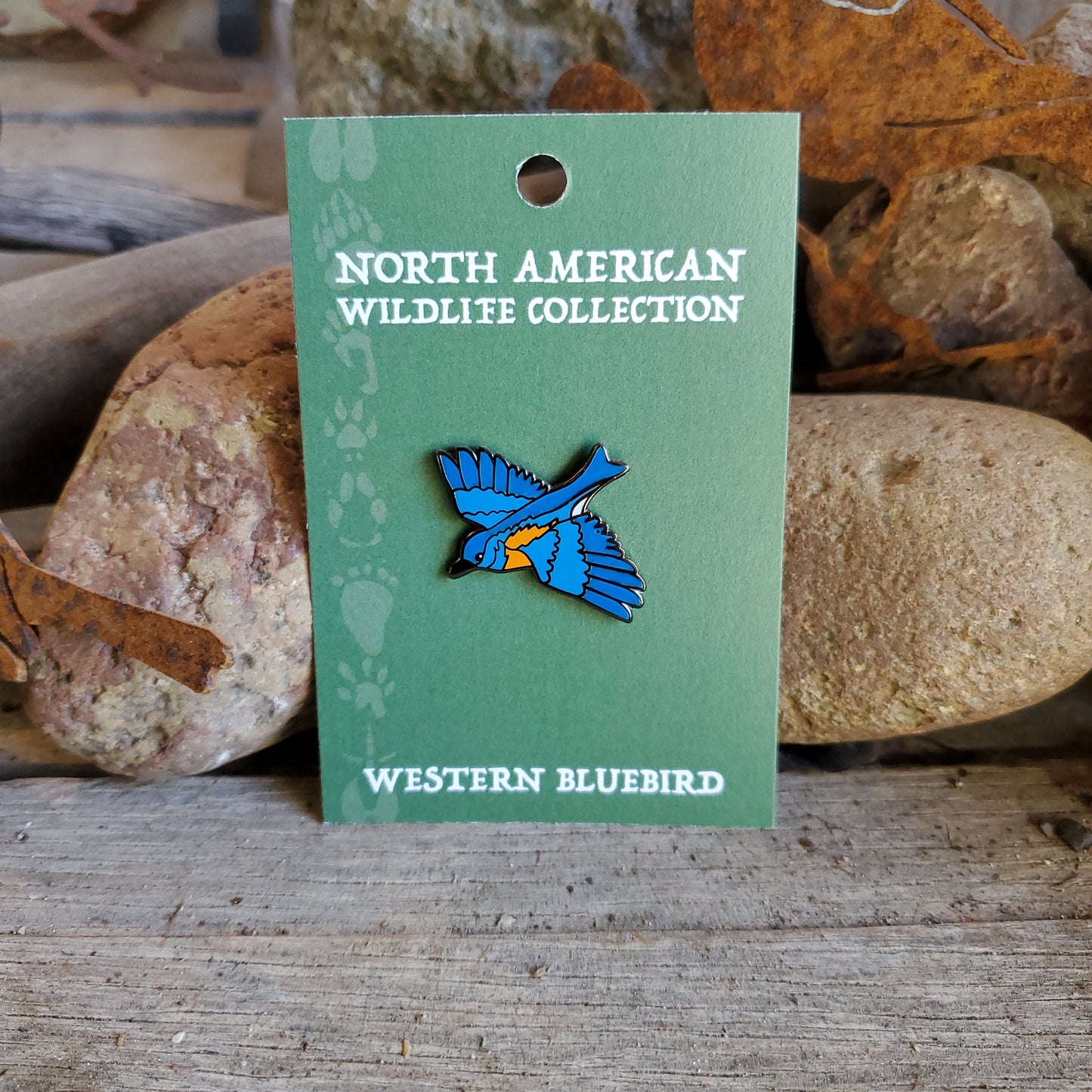 Western Bluebird Pin