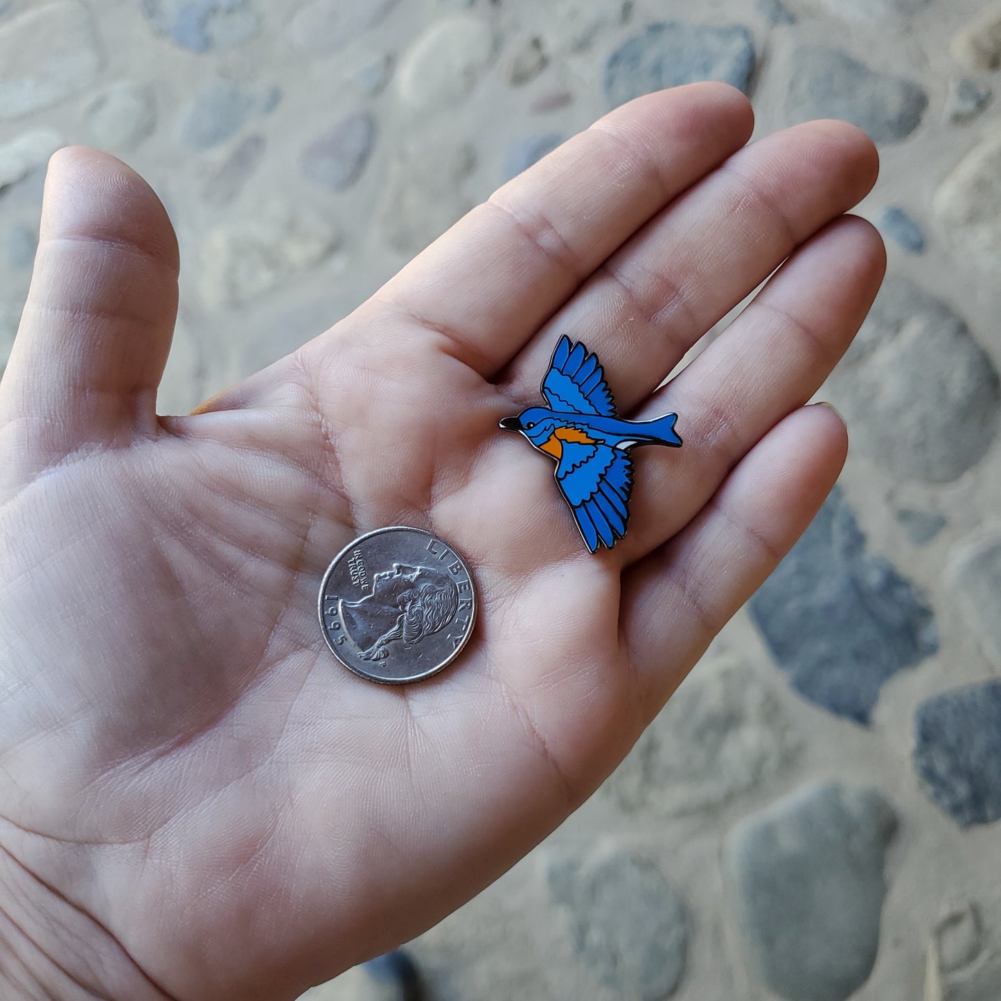 Western Bluebird Pin