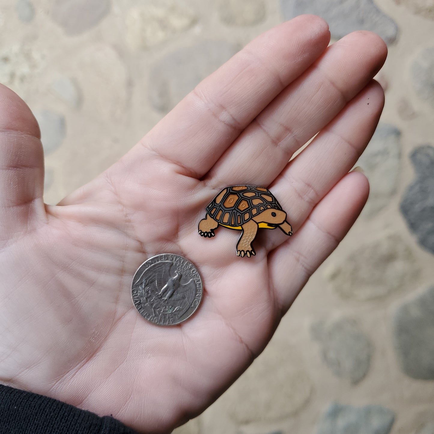 Desert Tortoise