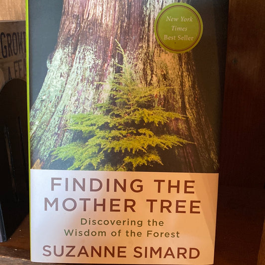 Finding the Mother Tree