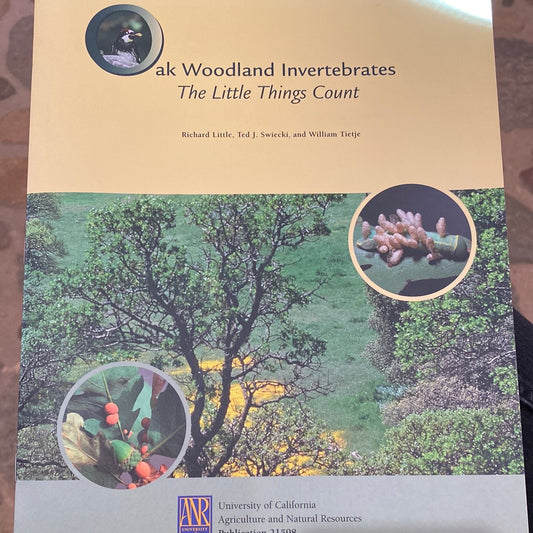 Oak Woodland Invertebrates: The Little Things Count