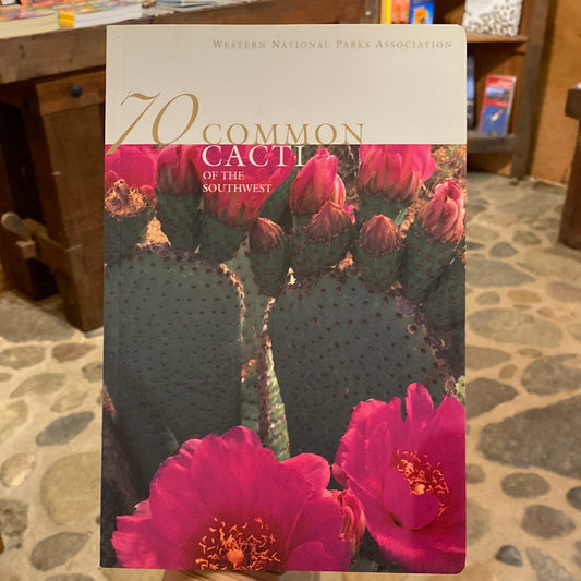 70 Common Cacti of the Southwest by Pierre C. Fischer (Author), Paul Mirocha (Illustrator), Jack Dykinga (Photographer)