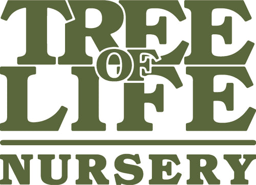 Tree of Life Nursery