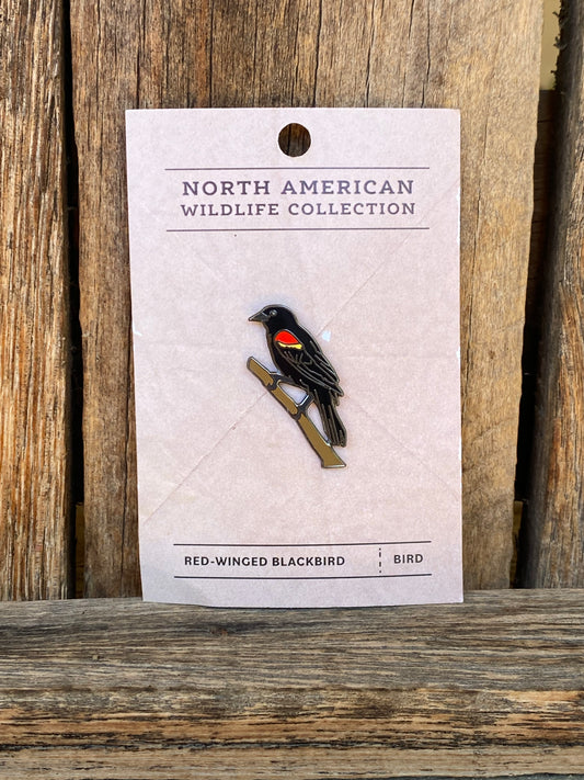 Red-Winged Blackbird