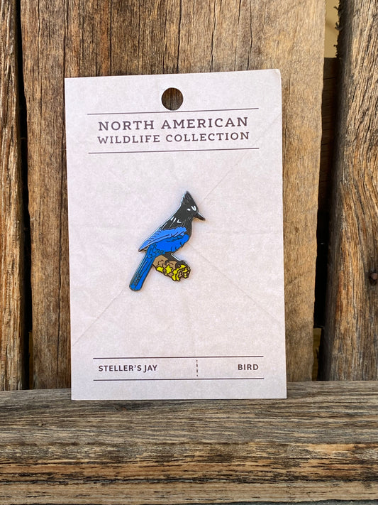 Steller's Jay Pin