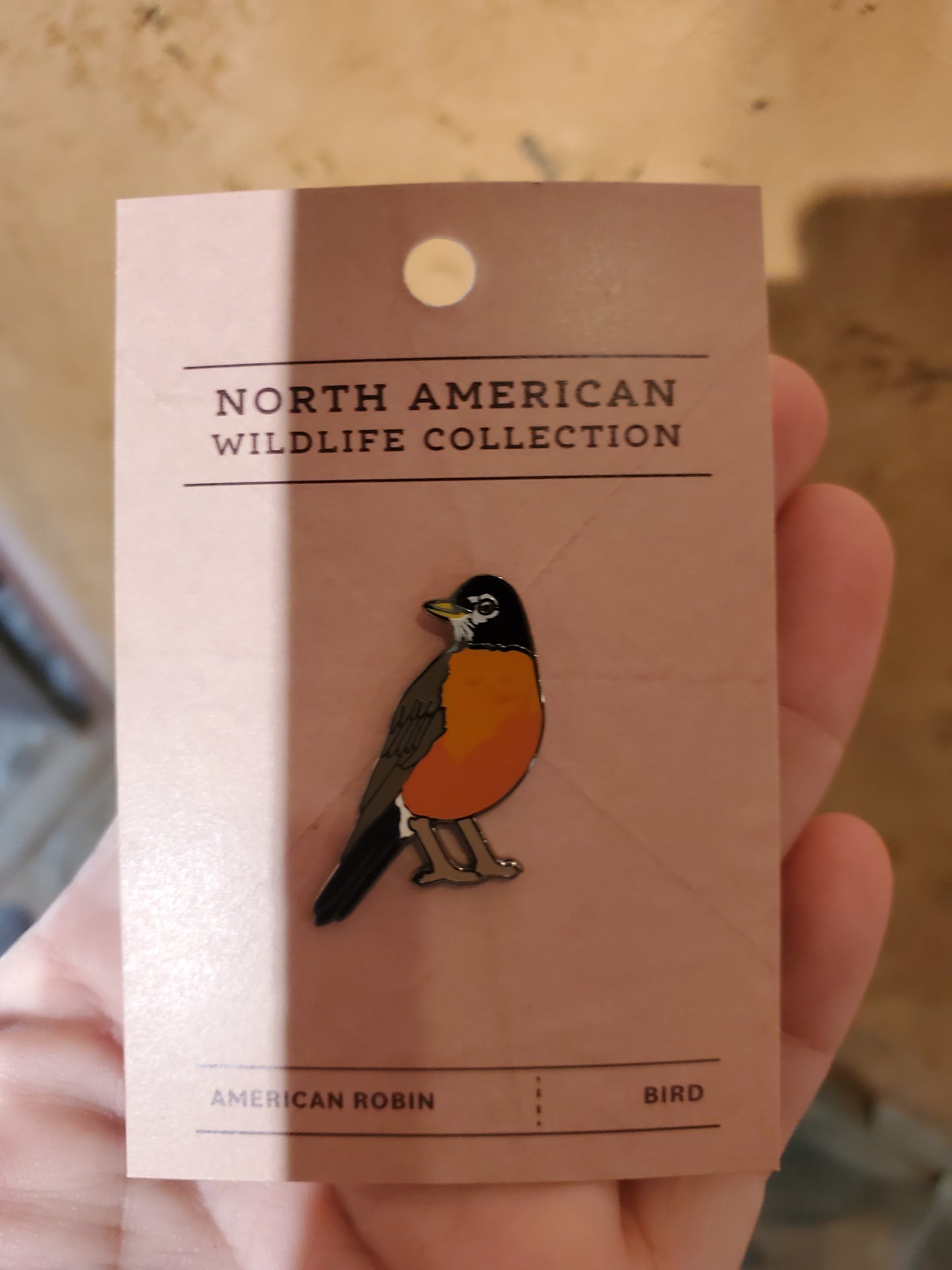 American Robin Pin