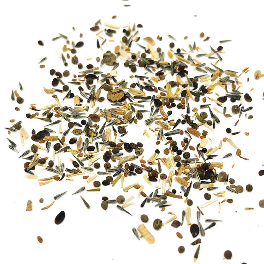 Wildflower Seeds - Trail of Flowers Mix